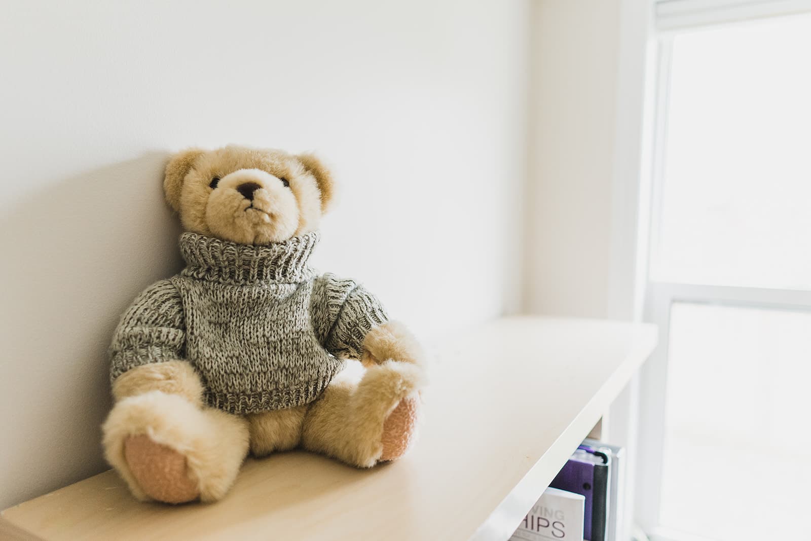 teddy bear on a shelf